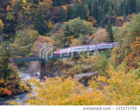 【秋田新幹線】特快列車小町號穿過秋葉環繞的山谷 133271759