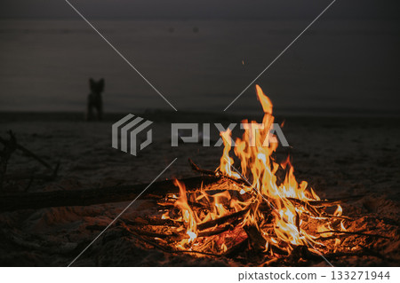 Campfire on the beach at dusk with a dog silhouette in the distance. A warm campfire burns brightly on a sandy beach as dusk over the ocean. Fire place on the sea coast at night. Travel with a doggy. 133271944
