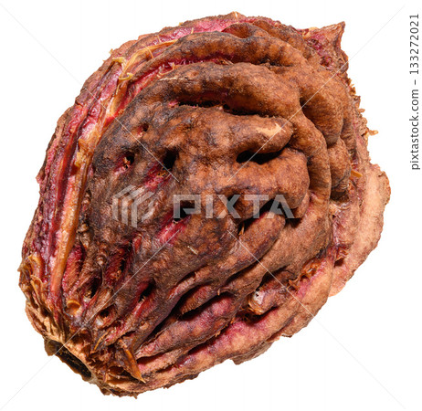 A close-up of a peach or apricot pit with a rough texture on an isolated background 133272021