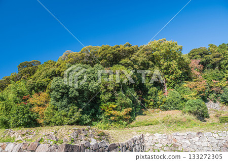Azuchi Castle Ruins, Omihachiman City, Shiga Prefecture Azuchi Castle Ruins, Omihachiman City, Shiga Prefecture 133272305