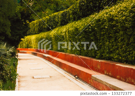 A picturesque pathway through a lush formal garden with green hedges and red concrete. A pathway winds through a landscaped garden, vibrant green bushes creating a serene, inviting space. A picturesque pathway through a lush formal garden with green hedges and red concrete. A pathway winds through a landscaped garden, vibrant green bushes creating a serene, inviting space. 133272377