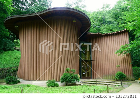 9460 托芙楊松曙光兒童森林公園 133272811