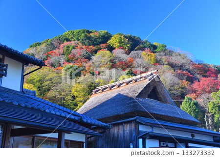 Autumn Kyoto Arashiyama autumn leaves autumn scenery 133273332