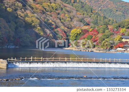 秋天京都嵐山秋葉秋天的景色 133273334