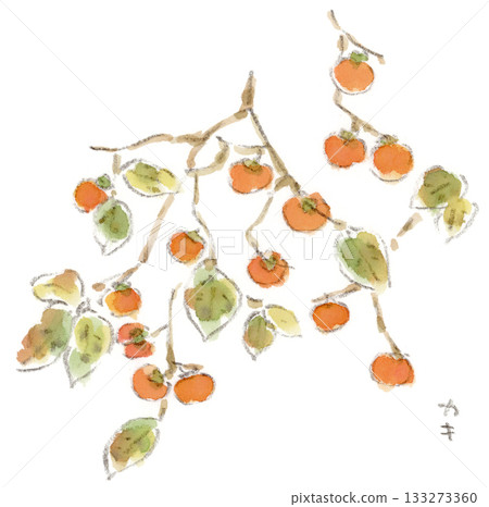 秋季植物水彩插圖,枝頭掛滿了柿子。 秋季植物水彩插圖,枝頭掛滿了柿子。 133273360