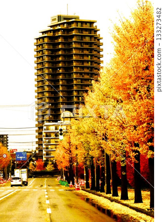 Ginkgo tree lined streets in Atsubetsu-Higashi, Sapporo Ginkgo tree lined streets in Atsubetsu-Higashi, Sapporo 133273482
