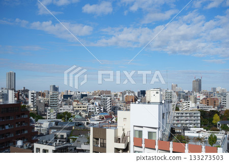 Cityscape of Tokyo's Negishi Nippori area Cityscape of Tokyo's Negishi Nippori area 133273503