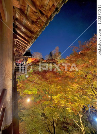 Kyoto Tofukuji Temple Autumn Leaves Illumination Kyoto Tofukuji Temple Autumn Leaves Illumination 133273515