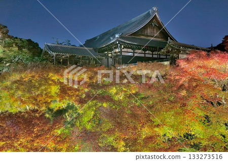 Kyoto Tofukuji Temple Autumn Leaves Illumination Kyoto Tofukuji Temple Autumn Leaves Illumination 133273516