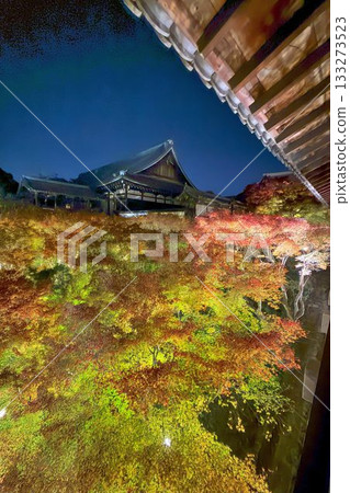 Kyoto Tofukuji Temple Autumn Leaves Illumination Kyoto Tofukuji Temple Autumn Leaves Illumination 133273523