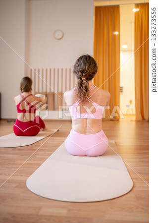 Woman doing core exercises with stability balls under in modern pilates studio 133273556