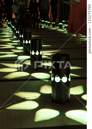 Anjin no Hi - A fantastic light-up art installation that illuminates Ryutaiji Temple in Seki City, Gifu Prefecture 133273700