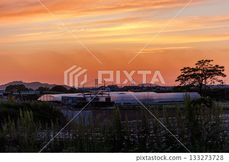 Seto Ohashi Bridge dyed in the sunset 133273728