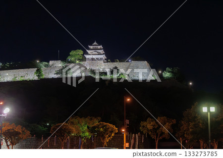 Illuminated Marugame Castle (Marugame City, Kagawa Prefecture) 133273785