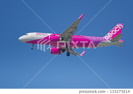 桃子航空空中巴士A320客機 桃子航空空中巴士A320客機 133273814