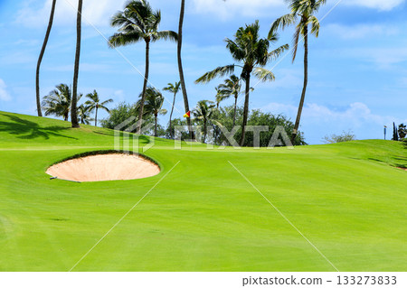 Hawaii (Oahu) Holidays (Golf Life) Kapolei No. 15 Hawaii (Oahu) Holidays (Golf Life) Kapolei No. 15 133273833