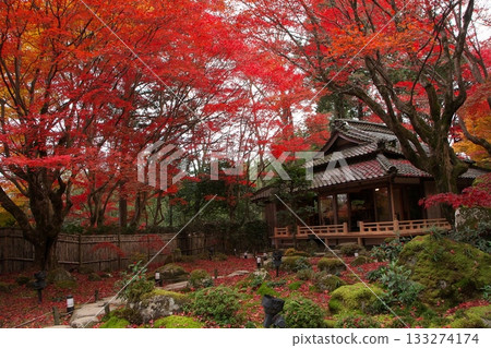 被秋葉環繞的花園 被秋葉環繞的花園 133274174