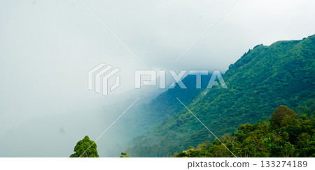 beautiful view of green hills with fog beautiful view of green hills with fog 133274189