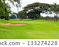 Hawaii (Oahu) Holidays (Golf Life) Kapolei No. 10 133274228