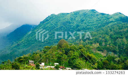beautiful view of a village at the foot of a hill covered in mist 133274263