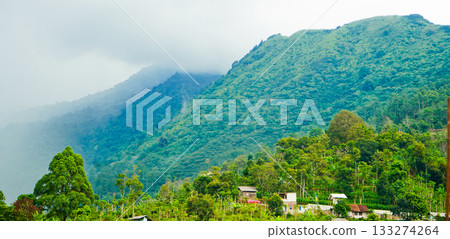 beautiful view of a village at the foot of a hill covered in mist beautiful view of a village at the foot of a hill covered in mist 133274264