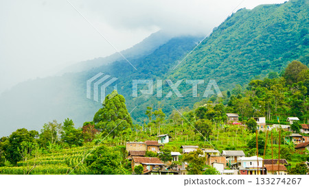 beautiful view of a village at the foot of a hill covered in mist 133274267
