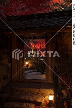 Landscape with autumn leaves 133274291