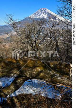 阿席達卡山脈：越前岳森林中倒下的樹木，以及聳立在山巔的富士山 133274550