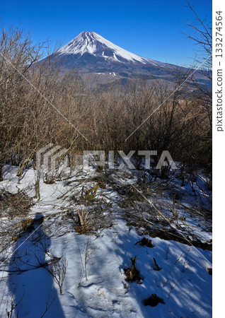 相高山脈的越前山：從富士見台森林眺望富士山 133274564