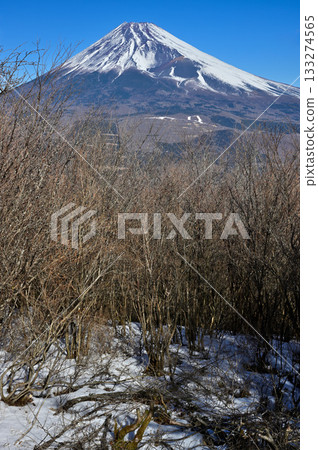 Mount Echizen in the Aitaka Mountains: Mount Fuji as seen from the forest of Fujimidai Mount Echizen in the Aitaka Mountains: Mount Fuji as seen from the forest of Fujimidai 133274565