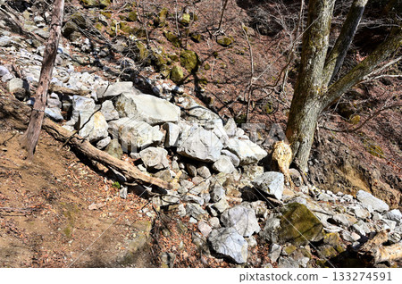 Echizen-dake in the Ashitaka mountain range: A collapsed area caused by a rock landslide in the valley Echizen-dake in the Ashitaka mountain range: A collapsed area caused by a rock landslide in the valley 133274591