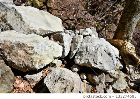 Echizen-dake in the Ashitaka mountain range: A collapsed area caused by a rock landslide in the valley Echizen-dake in the Ashitaka mountain range: A collapsed area caused by a rock landslide in the valley 133274593