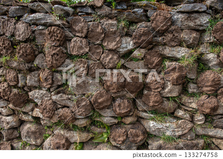 Cow dungs drying outdoor by stick on the wall in rural, Nepal. Dried cow dung, a main source of household cooking fuel for many in rural India and Nepal. Cow dungs drying outdoor by stick on the wall in rural, Nepal. Dried cow dung, a main source of household cooking fuel for many in rural India and Nepal. 133274758