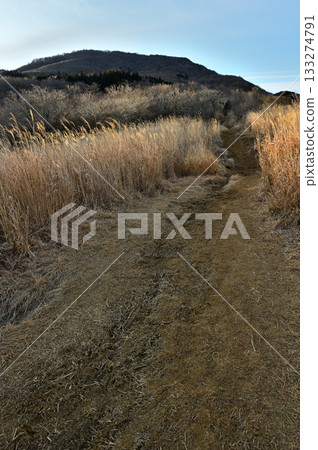 相高山脈的越前山：山間小徑和沐浴在晨光中的越前山 133274791