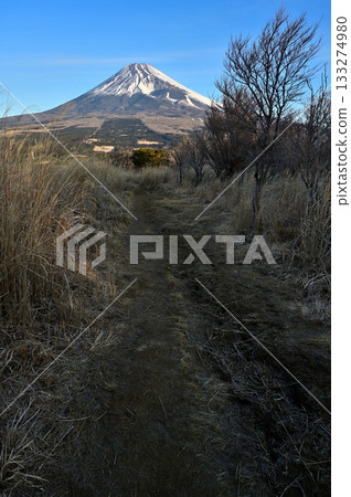 Mount Echizen in the Ashitaka Mountains: Mount Fuji seen from the morning mountain path Mount Echizen in the Ashitaka Mountains: Mount Fuji seen from the morning mountain path 133274980