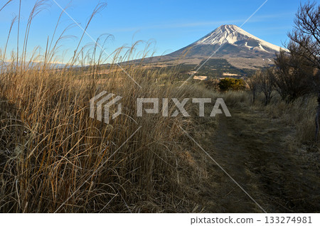 從加藤攀登越前山的小徑可以看到富士山,越前山位於足座山脈。 從加藤攀登越前山的小徑可以看到富士山,越前山位於足座山脈。 133274981