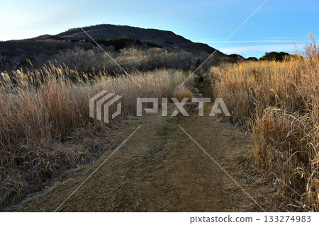 相高山脈的越前山:山間小徑和沐浴在晨光中的越前山 相高山脈的越前山:山間小徑和沐浴在晨光中的越前山 133274983