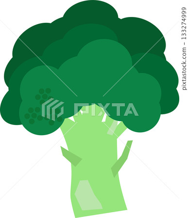 A cute illustration of broccoli that can be used as a cooking ingredient A cute illustration of broccoli that can be used as a cooking ingredient 133274999