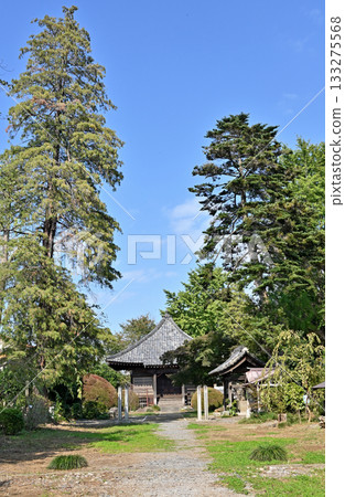 Temple: Yakuoji Temple, Yakushido Hall, Saitama City, Saitama Prefecture Temple: Yakuoji Temple, Yakushido Hall, Saitama City, Saitama Prefecture 133275568