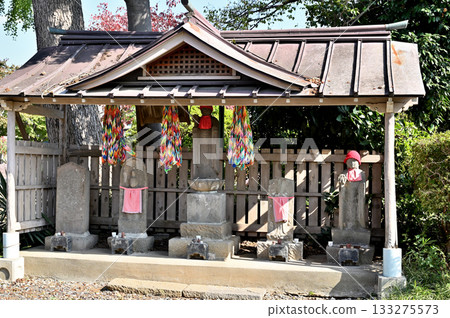 Temple: Yakuoji Temple, Yakushido Hall, Saitama City, Saitama Prefecture Temple: Yakuoji Temple, Yakushido Hall, Saitama City, Saitama Prefecture 133275573