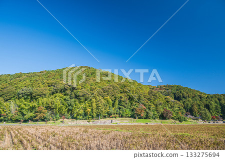 Azuchi Castle ruins viewed from the foot of the mountain, Omihachiman City, Shiga Prefecture 133275694