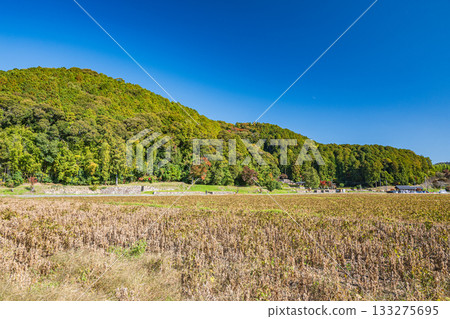 Azuchi Castle ruins viewed from the foot of the mountain, Omihachiman City, Shiga Prefecture 133275695