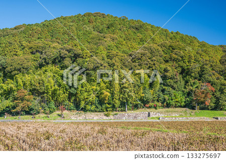 從山腳眺望安土城遺址，位於滋賀縣近江八幡市 133275697