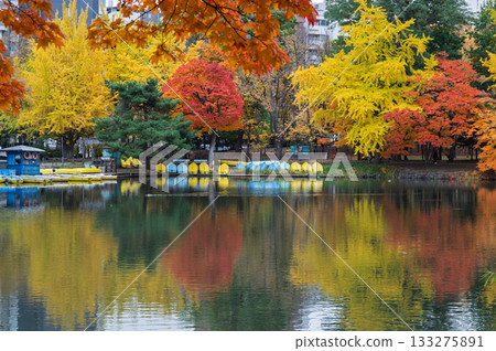 秋天的景色倒映在秋葉的水面上 秋天的景色倒映在秋葉的水面上 133275891