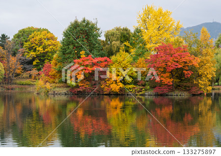Autumn leaves trees Autumn leaves trees 133275897