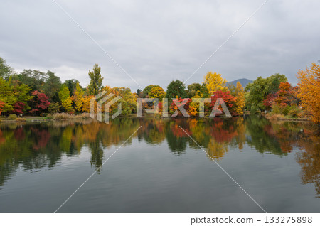Autumn leaves reflected on the water 133275898