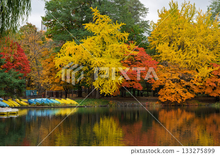 Autumn leaves reflected on the water Autumn leaves reflected on the water 133275899