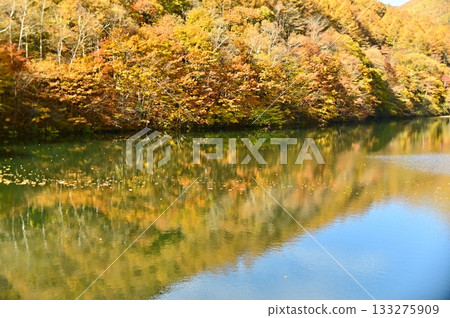 秋葉倒映在水面上 秋葉倒映在水面上 133275909