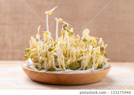 Mung bean sprouts, Organic vegetables at home, Food ingredient in Asian cuisine Mung bean sprouts, Organic vegetables at home, Food ingredient in Asian cuisine 133275948