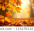 秋葉金黃，陽光明媚 133276132